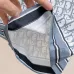 Dior tracksuits for Dior Short Tracksuits for men #B52123