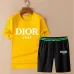 Dior tracksuits for Dior Short Tracksuits for men #B53035