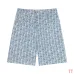 Dior tracksuits for Dior Short Tracksuits for men Denim suit #B52919