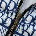Dior tracksuits for Dior Tracksuits for men #9999932025