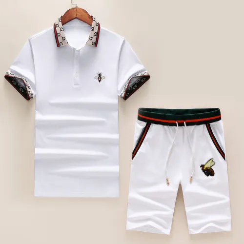 Gucci Tracksuits for Gucci short tracksuits for men #9122719