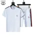 Gucci Tracksuits for Gucci short tracksuits for men #B51875