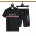 Gucci Tracksuits for Gucci short tracksuits for men #B51876