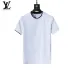 Louis Vuitton tracksuits for Louis Vuitton short tracksuits for men #B51884