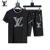 Louis Vuitton tracksuits for Louis Vuitton short tracksuits for men #B51884