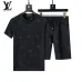 Louis Vuitton tracksuits for Louis Vuitton short tracksuits for men #B51887
