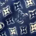 Louis Vuitton tracksuits for Louis Vuitton short tracksuits for men #B52140