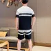 Louis Vuitton tracksuits for Louis Vuitton short tracksuits for men #B52494