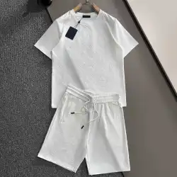Louis Vuitton tracksuits for Louis Vuitton short tracksuits for men #B53336
