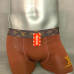Brand L Underwears for Men #99905938