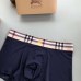 Burberry Underwears for Men (3PCS) #99899783