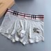 Burberry Underwears for Men (3PCS) #99899787