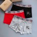 Burberry Underwears for Men (3PCS) #99899787