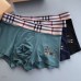 Burberry Underwears for Men (3PCS) #99899788