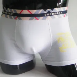 Burberry knickers for Men #852080