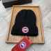 Canada Goose hat warm and skiing #9999928272