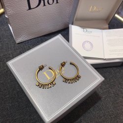Dior Earrings #99914239