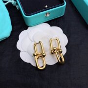 Tiffany Earrings #99914238