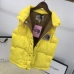 The North Face x Gucci Vest down jacket high quality keep warm #9999924558