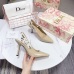 Dior Shoes for Dior High-heeled Shoes for women #99918742
