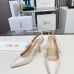 Dior Shoes for Dior High-heeled Shoes for women #B53167
