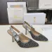Dior Shoes for Dior High-heeled Shoes for women #B59693