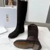 Dior Shoes for Dior boots for women #B56289