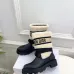 Dior Shoes for Dior boots for women #B59554