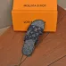 Louis Vuitton Shoes for Men's Louis Vuitton Slippers #B63104