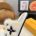 Louis Vuitton Cozy Fluffy Slippers with Leather Straps and Brand Embellishments #B54553