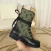 Louis Vuitton Shoes for Women's Louis Vuitton boots #99903228