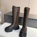 Louis Vuitton Shoes for Women's Louis Vuitton boots #999936766