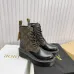 Louis Vuitton Shoes for Women's Louis Vuitton boots #B42448