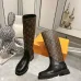 Louis Vuitton Shoes for Women's Louis Vuitton boots #B44387