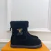 Louis Vuitton Shoes for Women's Louis Vuitton boots #B56606