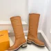 Louis Vuitton Shoes for Women's Louis Vuitton boots #B56612