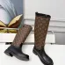 Louis Vuitton Shoes for Women's Louis Vuitton boots #B57387