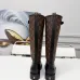 Louis Vuitton Shoes for Women's Louis Vuitton boots #B57387