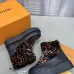 Louis Vuitton Shoes for Women's Louis Vuitton boots #B58231