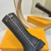Louis Vuitton Shoes for Women's Louis Vuitton boots #B58243