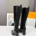 Louis Vuitton Shoes for Women's Louis Vuitton boots #B59533