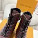 Louis Vuitton Shoes for Women's Louis Vuitton boots Checker  #B58210