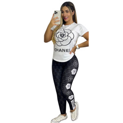 Chanel 2023 new Fashion Short Tracksuits for Women #999932759