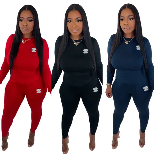 Chanel 2024 new Fashion Tracksuits for Women #B34500