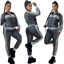 Dior new Fashion Tracksuits for Women #B44593