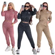 Louis Vuitton Fashion Tracksuits for Women #9999928479